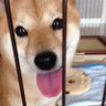 てっちゃん's profile picture
