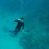 Diver Abdullah 的头像