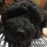 地上のハル@スバ友🌲🚑🌸☃🧪 profil fotoğrafı
