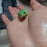 ぴょん 的头像