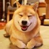ponta2300's profile picture