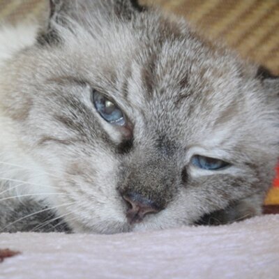篠田 和之's profile picture
