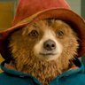 Paddingtonfan1 🧸 profil fotoğrafı