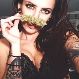 Stoner Chicks โข's profile picture