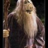 Reinhold Erxleben's profile picture