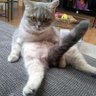Preston1088's profile picture