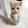 まさっち's profile picture