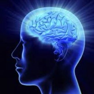 partidocracia1's profile picture