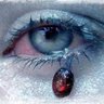 Profilbild von afitar