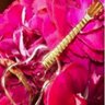David J Nann's profile picture