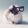 Profilbild von William-
