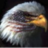 pjt's profile picture