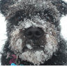 Lynn Holthaus's profile picture