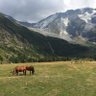 PedroLafitte profil fotoğrafı