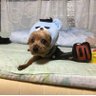 誠's profile picture