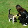 ぐら profil fotoğrafı