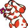 pia's profile picture