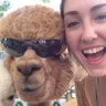 Alaina Piszczek's profile picture