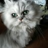あき's profile picture