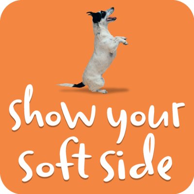 Soft Side's profile picture