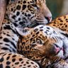 Фото профиля Jose Pereira