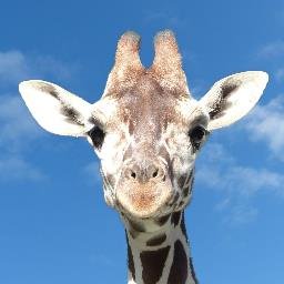 豊橋総合動植物公園（のんほいパーク）'s profile picture