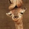 Profilbild von Not a giraffe, just giraffe usernames