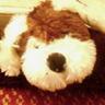 Dougal D'Arcy's profile picture