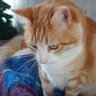 Фото профиля ricardo
