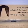 abo Ziad's profile picture