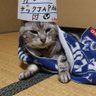 Profilbild von mayumi-m