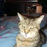 Yartsie123's profile picture