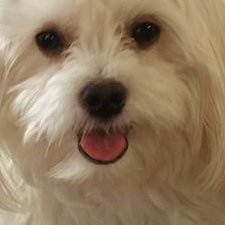 sesg13's profile picture