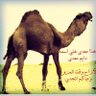 Profilbild von راعي المعديات