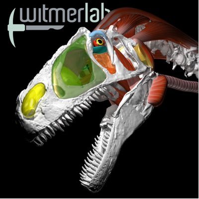 WitmerLab's profile picture