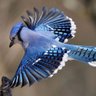 Nature Is Beautiful's profile picture