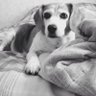 Gary's profile picture