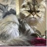 タク profil fotoğrafı