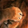 Profilbild von Siaaf Sd