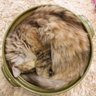 るるら profil fotoğrafı