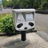 梅軒 的头像