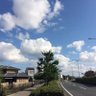 ち〜坊。 profil fotoğrafı