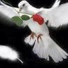 gerard aidoo's profile picture