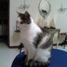 Jorge Hdo Velez R's profile picture