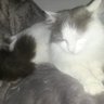 Profilbild von Sushi84