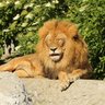 Marek K4 🦋 🦋 🦋 profil fotoğrafı