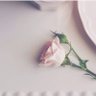 منى المطيري profil fotoğrafı