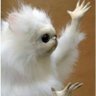 Llama Pijama's profile picture