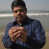 Profilbild von Balasaheb G Kulkarni