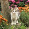 cobaye n°38411872 🧹🍅's profile picture
